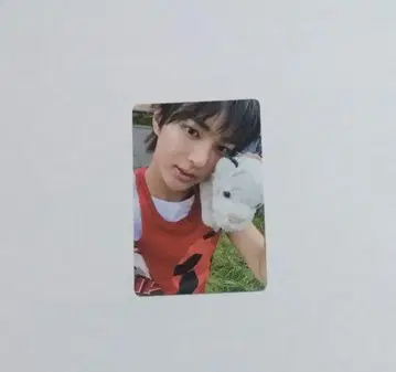 cortis 코르티스 공호 트레이딩 카드 1장 weverse album