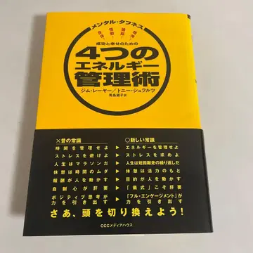 성공과 행복을 위한 4가지 에너지 관리술 멘탈 터프니스