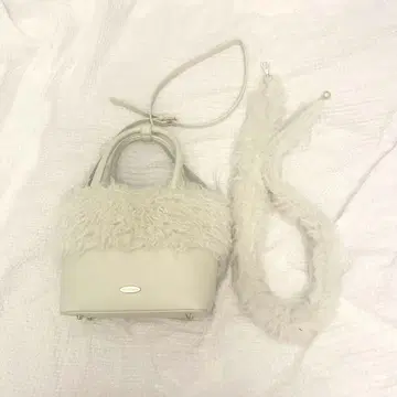 에코 퍼 절개 토트