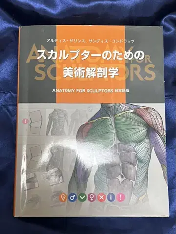 스컬프터를 위한 미술 해부학