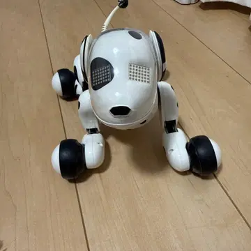 HELLO! ZOOMER