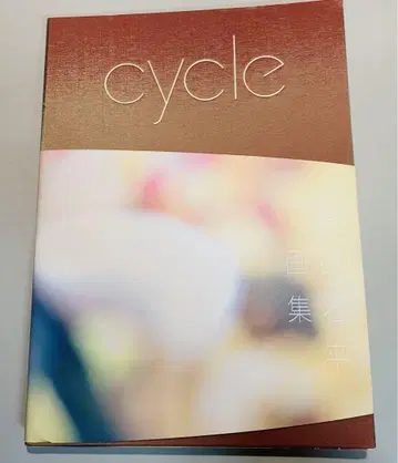 이와타 소헤이 화집 cycle