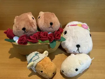 제일복권 카피바라 씨 봉제 인형 세트 마스코트 키링