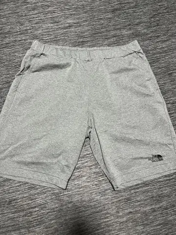 THE NORTH FACE 그레이 숏팬츠