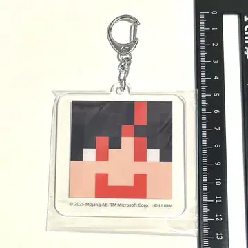 Minecraft 컬러풀 피치 키링 유안군