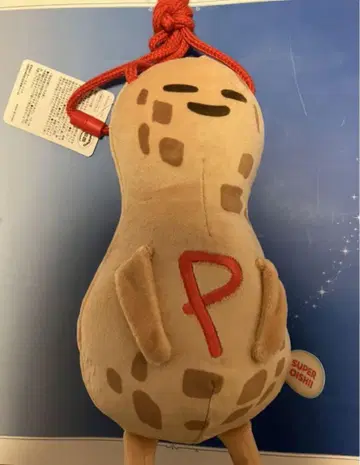 USJ 한정판 스파이 패밀리 코인백