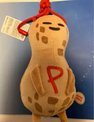 USJ 한정판 스파이 패밀리 코인백