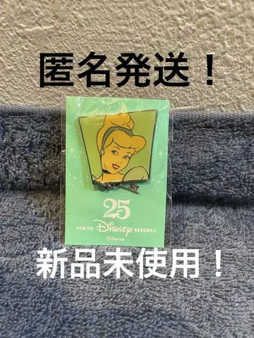 디즈니 리조트 핀 배지 신데렐라