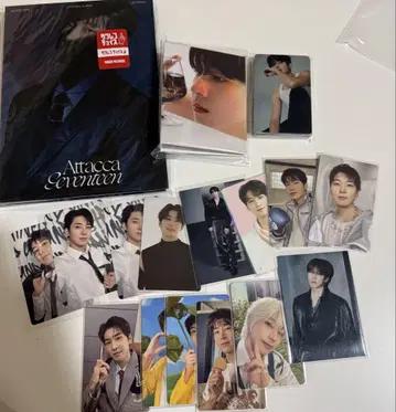 세븐틴 원우 총정리