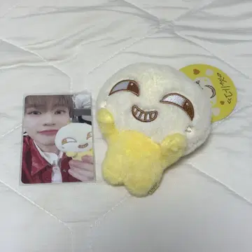 NCT DREAM 천러 봉제 인형 트레이딩 카드 세트