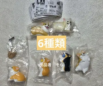 코기산포 6종 세트
