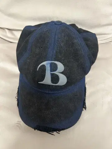 BEEDEN 캣