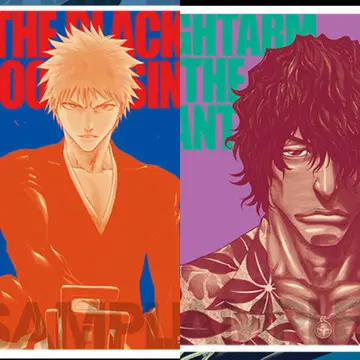 BLEACH 원화전 굿즈 포스터 컬렉션 A 쿠로사키 이치고 차도 야스토라