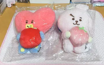 BT21_후르츠 봉제 인형 M [ TATA&COOKY ]