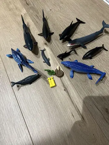 아니아 바다 생물 묶음 판매