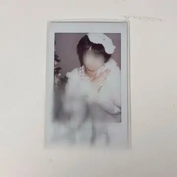 러브시크 태양 폴라로이드