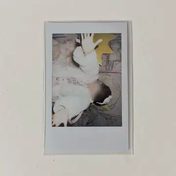 러브시크 태양 폴라로이드