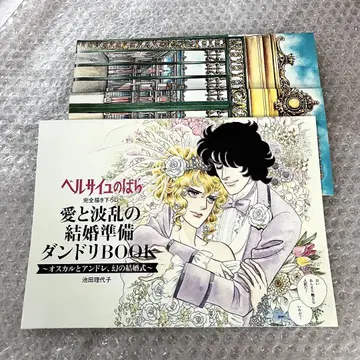 베르사이유의 장미 사랑과 파란의 결혼 준비 댄드라BOOK 외 새상품급