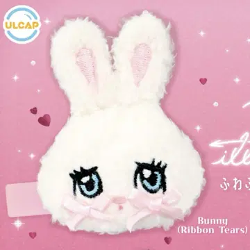 foxy illustrations 복슬복슬 봉제 인형 클립 Bunny