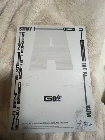 straykids 앨범