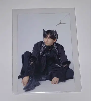 초특급 NINE LIVES 솔로반 트레이딩 카드 료가