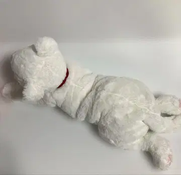 선레몬 오드아이 시로네코 화이트 고양이 봉제 인형