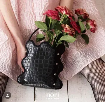 노리 에노모토 mardi matin 악어