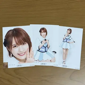 코지마 카린 브로마이드