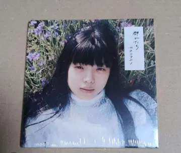 카네코 아야노 군레타치 CD 미개봉 새상품