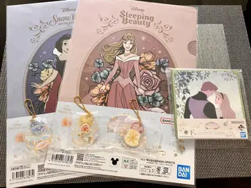 디즈니 프린세스 Dream in color 제일복권