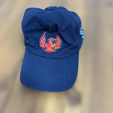 USA CAP 기업 로고 캡 Alaska AIRLINES