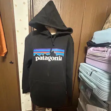 Patagonia 파타고니아 후드티 여성용