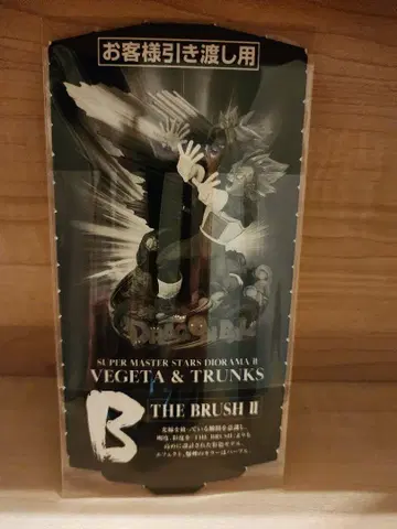 SMSD 베지터&트렁크 B상 02 반권