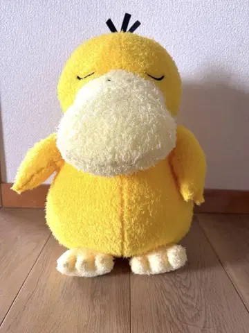 새상품급 포켓몬 코닥 봉제 인형 편안한 타임
