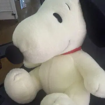 스누피 봉제 인형 크림색