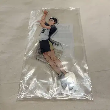 하이큐 아카아시 케이지 BIG 아크릴 스탠드