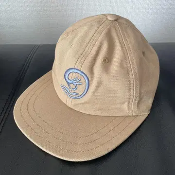 Patagonia 베이지 캡