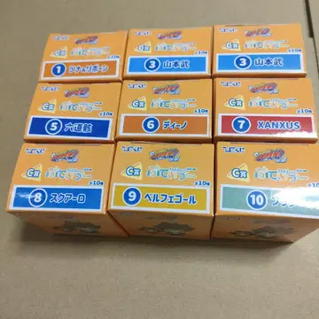 리본 퓨티코 9개