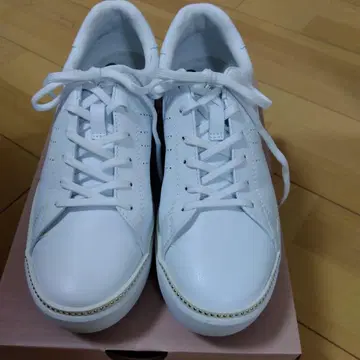 호킨스 23cm