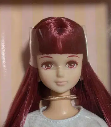 리카짱 캐슬 시온