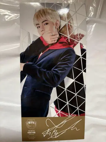 BTS V 태현 사인 포함 포토 카드