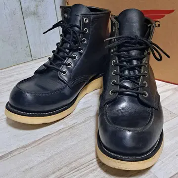 레드윙 8179 아이리쉬 세터 US7E 25cm