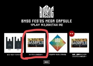 bmsg 페스티벌 패브릭 포스터