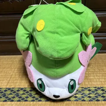 포켓몬 쉐이미 봉제 인형