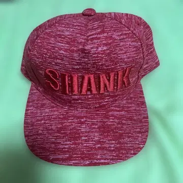 SHANK 캡
