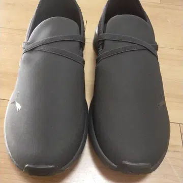 푸마 24.5