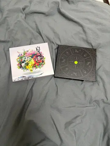 미세스 GREEN APPLE 초회 한정판 DVD CD 미세스 세트