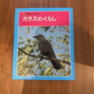 까마귀의 생활 사이토 코지