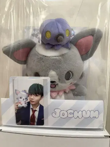 JO1 제오참 츄라라