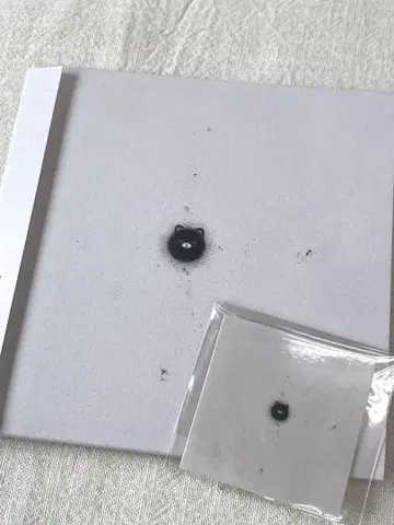 카네코 아야노 돌의 실 저절로